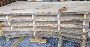 Walnut Lumber Bundle