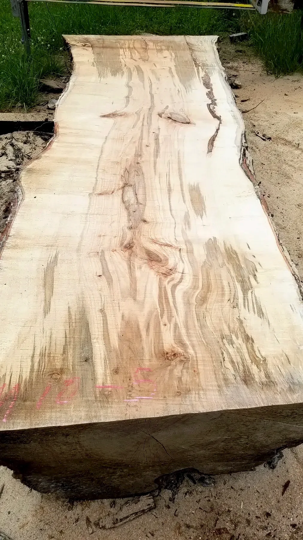 10 foot by 36 maple photo 2