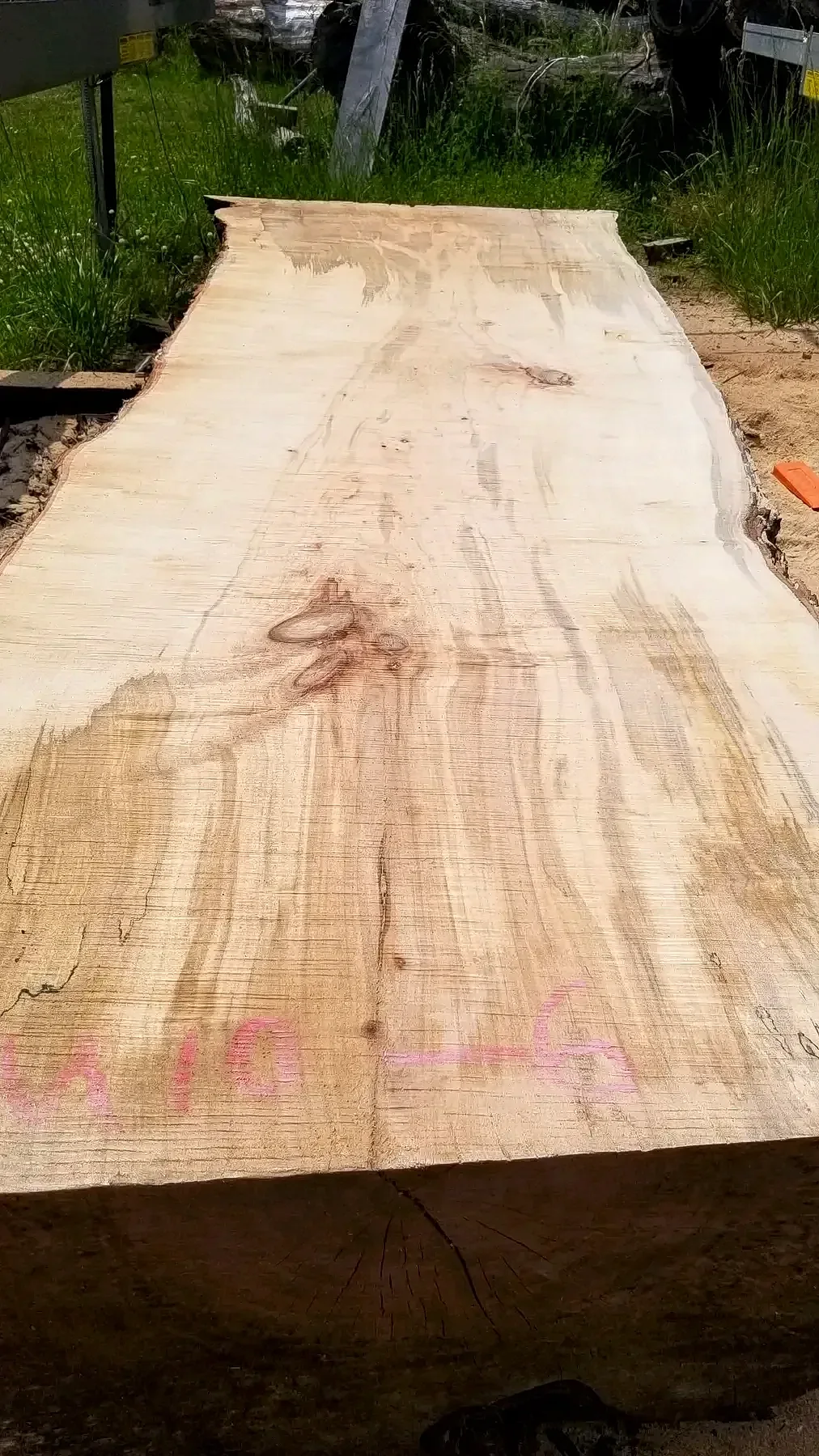 10 foot by 36 maple photo 3