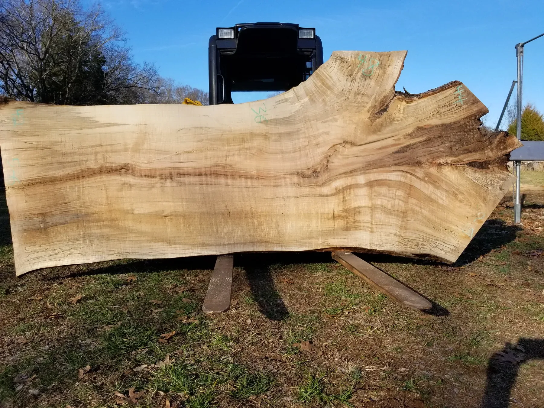 11 foot poplar slabs photo 6