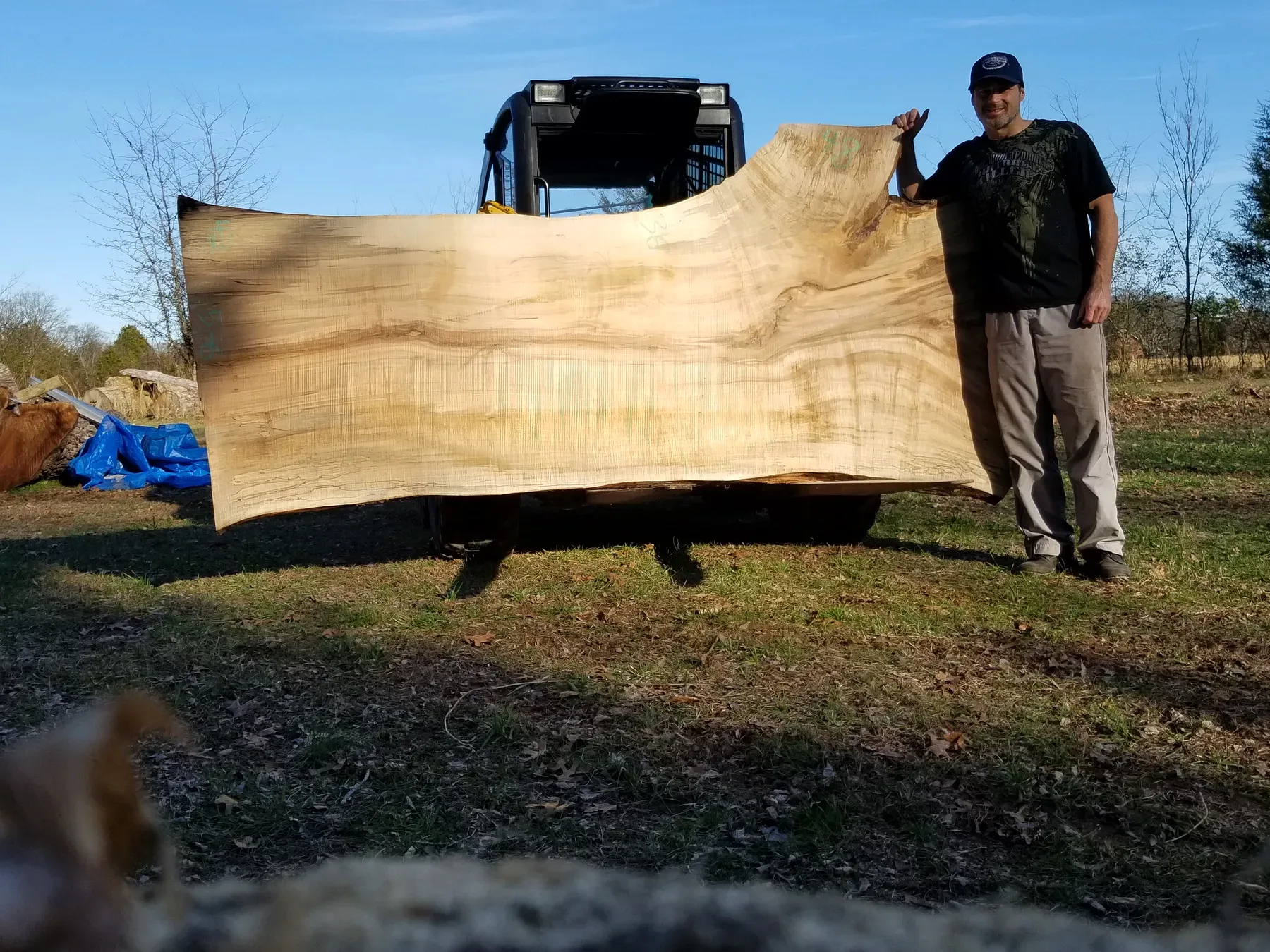 11 foot poplar slabs photo 7