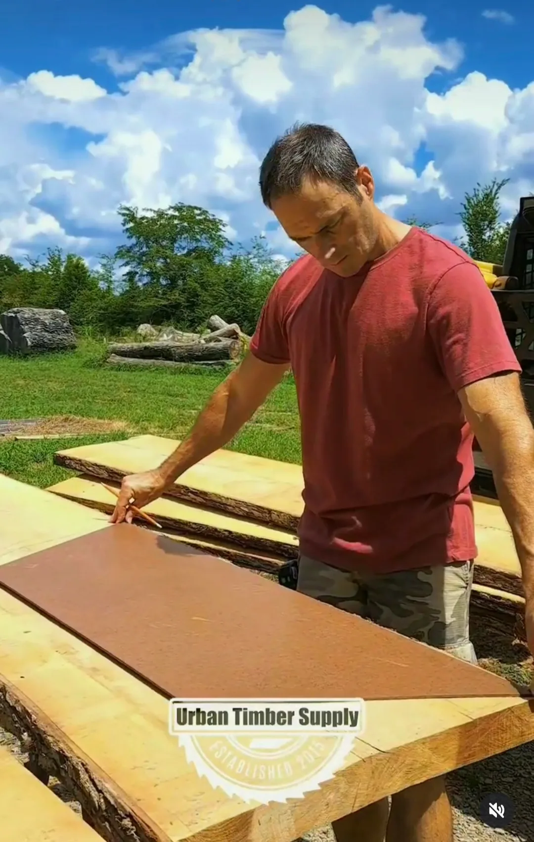 Live Edge Ambrosia Maple Shelves behind the build photo 8