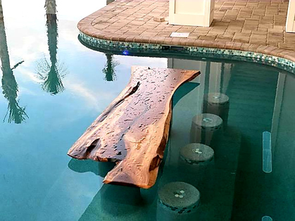 Poolside Walnut Table photo 2